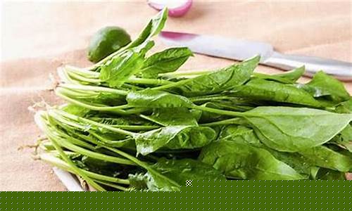 白菜网送体验金无需申请：信誉好的菠菜导航网大全(菠菜信誉排行)