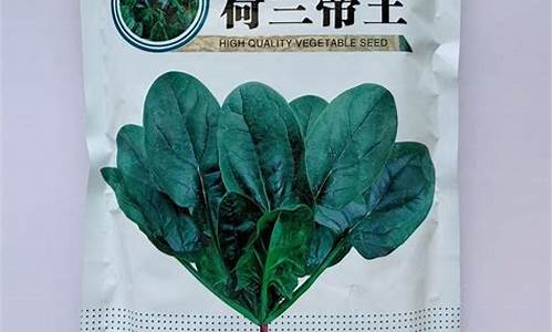 线上菠菜导航网：菠菜公司排名(菠菜公司排名前十)