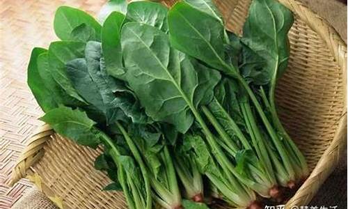 线上菠菜入口(菠菜网上平台)