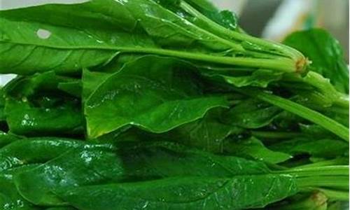 谁有菠菜论坛网站：最新菠菜(最新菠菜网)