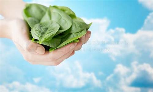 菠菜公司下载(菠菜阅读下载)